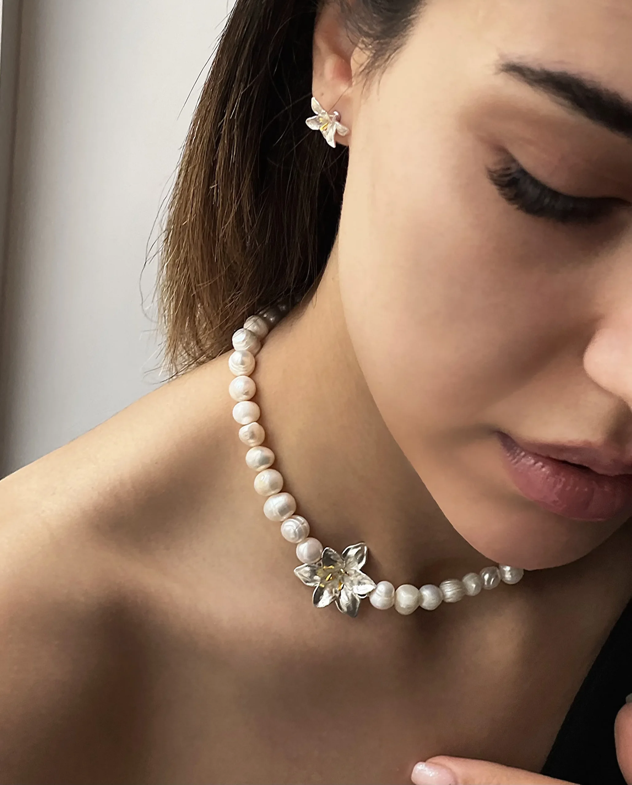 Lilium Collection